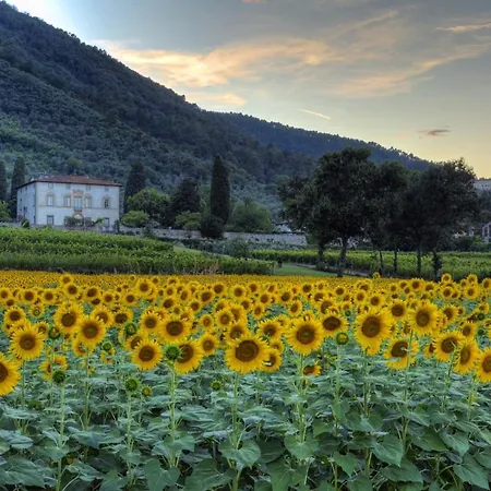 Buonvisi Frühstückspension Lucca