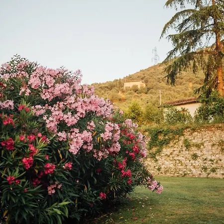 Buonvisi Lucca
